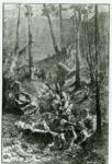 Rousseau, Théodore , La descente des vaches