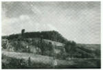 Rousseau, Théodore , Lisiere d'un Bois Coupe, Foret de Fontainebleau