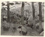 &nbsp; , Serusier, Paul - sec. XIX