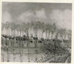 Sisley, Alfred , Moret sur Loing