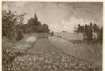 Sisley, Alfred , Kornfeld