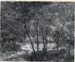 Sisley, Alfred , A la lisi&eacute;re du Bois. Les Sablons, juin