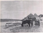 Sisley, Alfred , Ferme au bord d'un fleuve