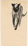 Steinlen, Théophile Alexander , Gatto Siamese