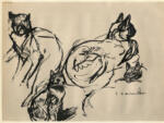 Steinlen, Théophile Alexander , Gatti