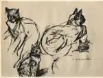Steinlen, Théophile Alexander , Gatti