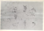 Toulouse-Lautrec, Henri de , Studi di teste di cavallo