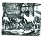 Vernet, Carle , La scuderia