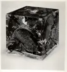 Fernandez, Armand , Col&egrave;re de violon -