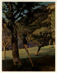 Klossowski de la Rola, Balthasar , Cherry Trees