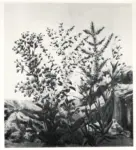 Bauchant, Andr&eacute; , Fleurs