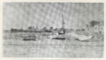 Bonnard, Pierre , Il porto di St. Tropez