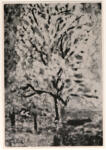 Bonnard, Pierre , Mandorlo in fiore