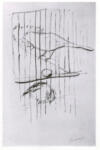 Bonnard, Pierre , Canarins