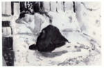 Brianchon, Maurice , Le Chagrin