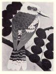 Bussy, Simon , Kookaburra -