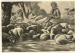 Anonimo ; Anonimo , s.v.