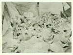De La Fresnaye, Roger , Conquest of the air