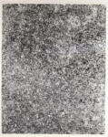 Dubuffet, Jean , Texturologie XXII (duveteuse)