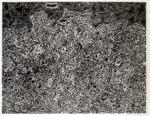 Dubuffet, Jean , Paesaggio di incertezze