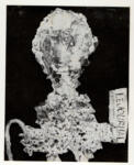 Dubuffet, Jean , L'Oisif