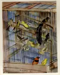Dufy, Raoul , Les oiseaux dans la cage
