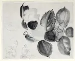 Dufy, Raoul , Nature morte aux fleurs