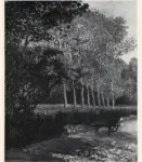 Dumas, Gaetan , La Carriola