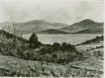 A.F.I. Agenzia Fotografica Industriale , Dunoyer de Segonzac, André - sec. XIX - Vigne e oliveti sulle rive del mare