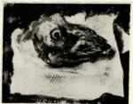 Anonimo ; Anonimo , s.v.