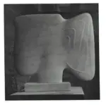 Hajdu, Etienne , - testa