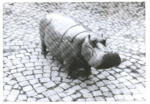 Lalanne, , Ippopotamo - Sala da bagno -