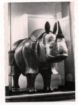 , , Il rinoceronte secreteire -
