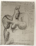 Janneret, Charles-Edouard , Studio per scultura