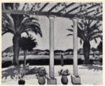 Anonimo , Marquet, Albert - sec. XX - La Terrasse à Porquerolles