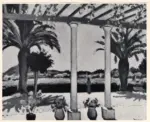 Marquet, Albert , La Terrasse &agrave; Porquerolles