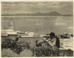 Marquet, Albert , Sidi Bou Saïd et le golfe de Tunis