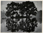 Marquet, Albert , L'Ile des cygnes