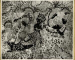 Anonimo , Matisse, Henri - sec. XX - Oliveti a Collioure