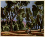 Matisse, Henri , Oliviers