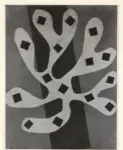 Matisse, Henri , Algue blanche sur fond orange et rouge
