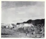 Galerie Bernheim-Jeune , s.v.