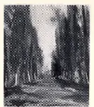 Galerie Bernheim-Jeune , s.v.