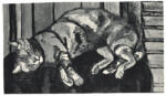 Anonimo ; Anonimo , s.v.