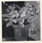 Anonimo ; Anonimo , s.v.