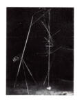 Van Thienen, , Astable -