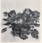 Anonimo ; Anonimo , s.v.