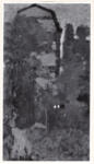 Vuillard, Edouard , La maison pesche dans les arbres