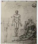 Canova, Antonio , Studio di nudo maschile