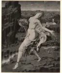 Baierl, Theodor , Flora